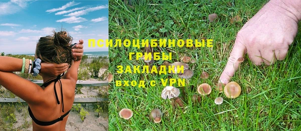 МДПВ Козловка