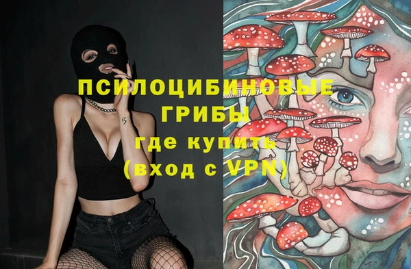 PSILOCYBIN Балабаново
