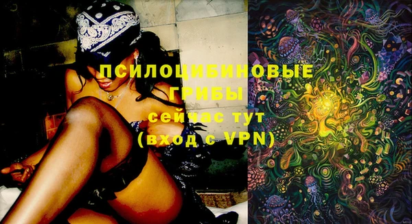 PSILOCYBIN Балабаново