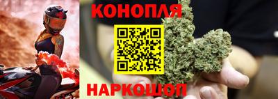 спиды Гусев