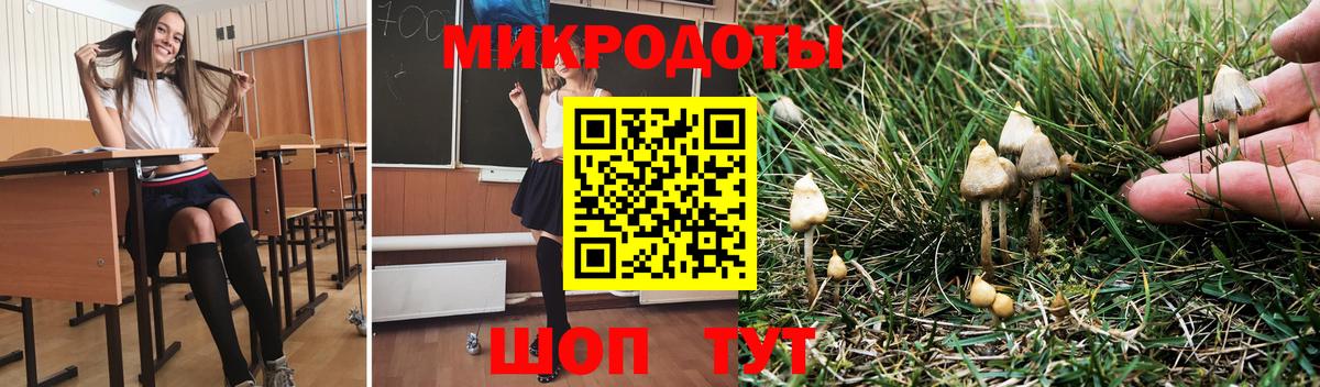 Печора  где найти   Галлюциногенные грибы ЛСД  Вход с VPN  Галлюциногенные грибы Cubensis 